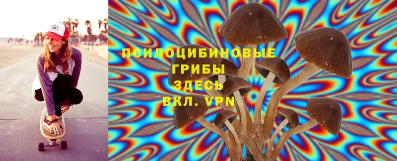 Галлюциногенные грибы MAGIC MUSHROOMS  наркошоп  Далматово 