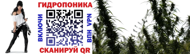 Конопля планчик  купить наркотик  ссылка на мегу ссылка  Далматово 